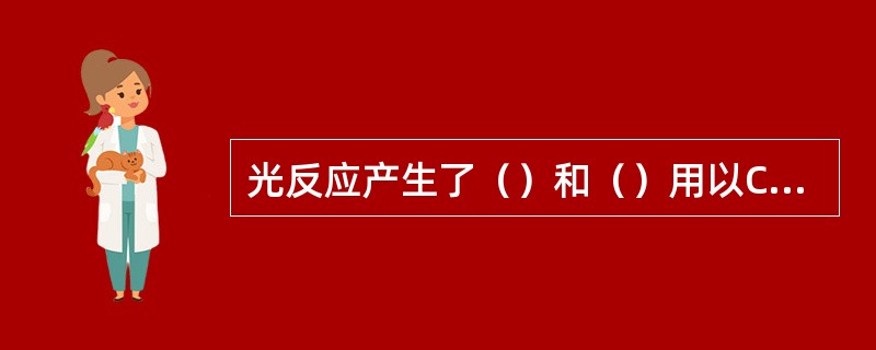 光反应产生了（）和（）用以CO2的固定。