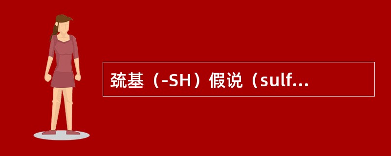 巯基（-SH）假说（sulfhydryl group hypothesis）