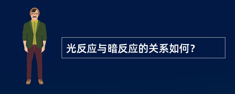 光反应与暗反应的关系如何？