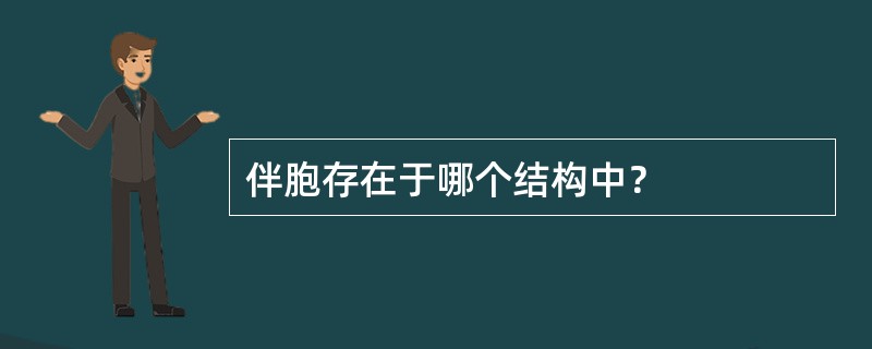 伴胞存在于哪个结构中？