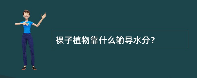 裸子植物靠什么输导水分？