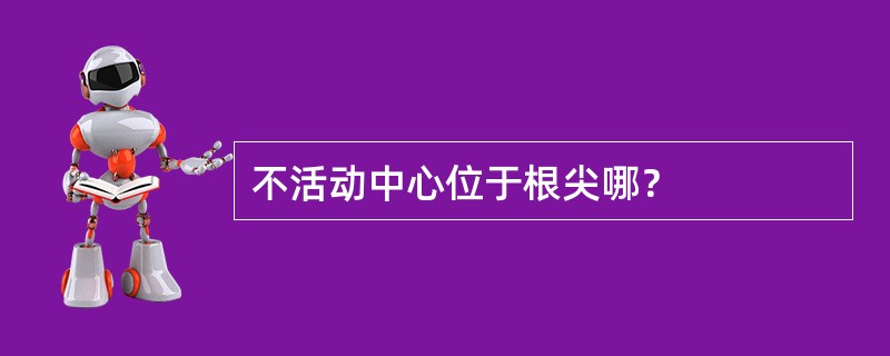 不活动中心位于根尖哪？