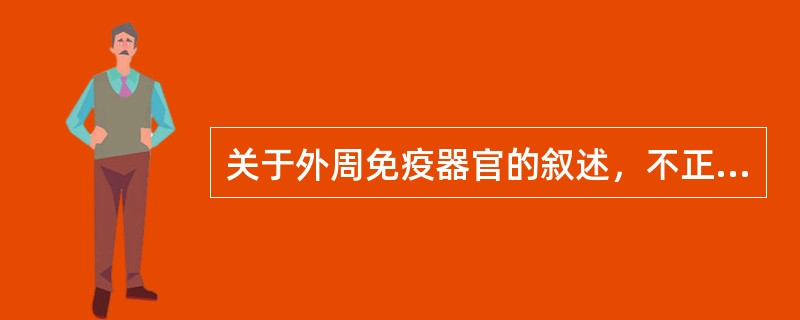 关于外周免疫器官的叙述，不正确的是（）