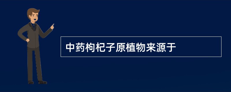 中药枸杞子原植物来源于