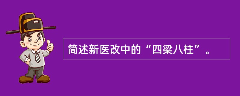 简述新医改中的“四梁八柱”。