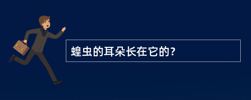 蝗虫的耳朵长在它的？