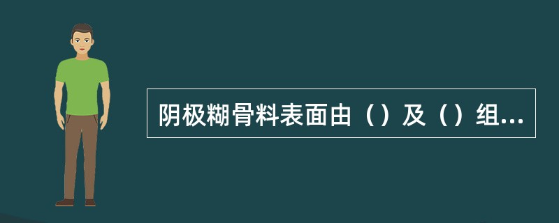 阴极糊骨料表面由（）及（）组成的粘结剂包裹，其是保证底糊捣固施工质量的重要因素。