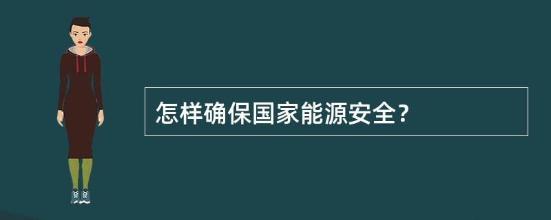 怎样确保国家能源安全？