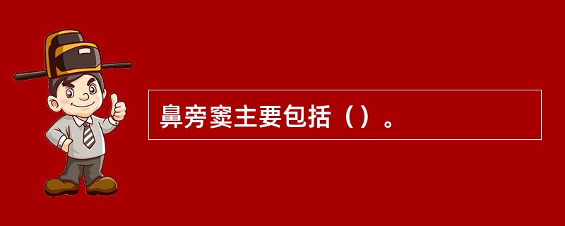 鼻旁窦主要包括（）。