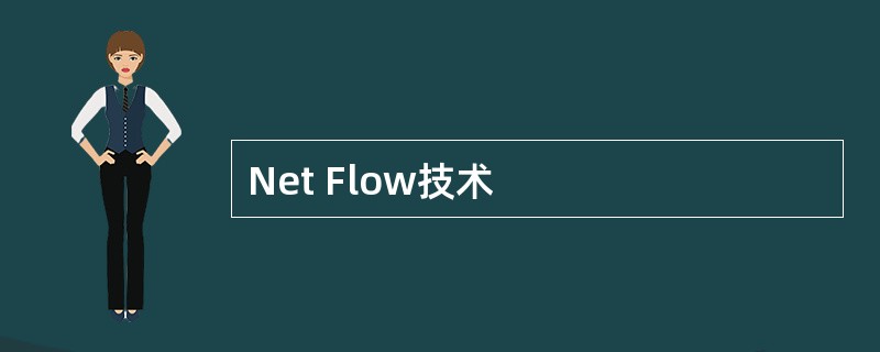 Net Flow技术