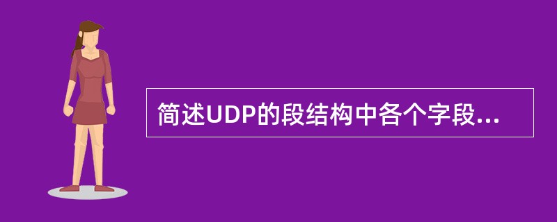 简述UDP的段结构中各个字段的名称及其含义。