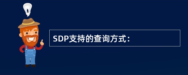 SDP支持的查询方式：