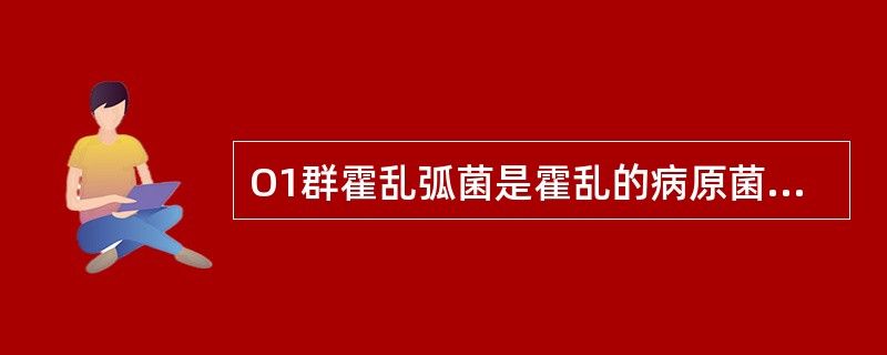 O1群霍乱弧菌是霍乱的病原菌，自患者新分离的O1群霍乱弧菌的形态特征为（）