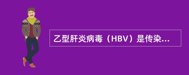 乙型肝炎病毒（HBV）是传染性肝炎的一个重要病因，乙型肝炎病毒所属的科是（）