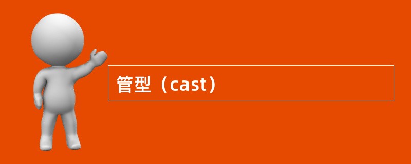 管型（cast）