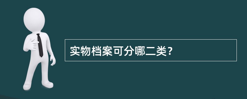 实物档案可分哪二类？