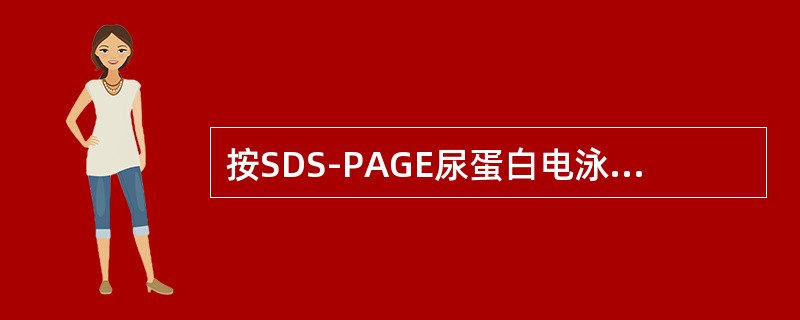 按SDS-PAGE尿蛋白电泳结果，可将蛋白尿分为（）