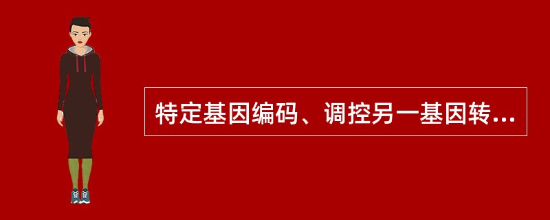 特定基因编码、调控另一基因转录激活的转录因子是（）。