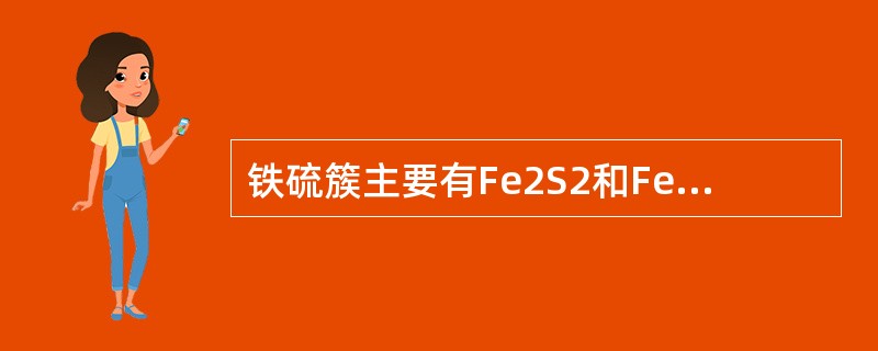 铁硫簇主要有Fe2S2和Fe4S4两种组成形式，通过其中的铁原子与铁硫蛋白中的半