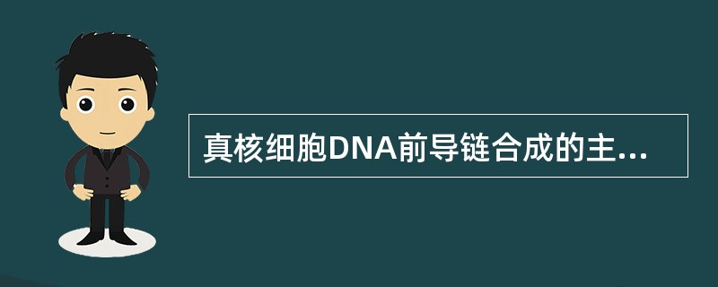 真核细胞DNA前导链合成的主要复制酶是（）。