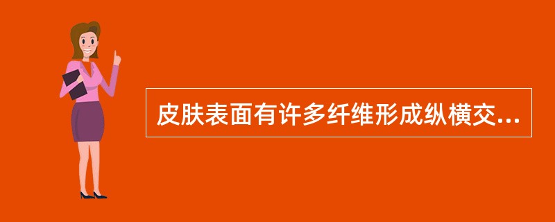 皮肤表面有许多纤维形成纵横交错的（）。