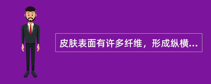 皮肤表面有许多纤维，形成纵横交错的皮脂。