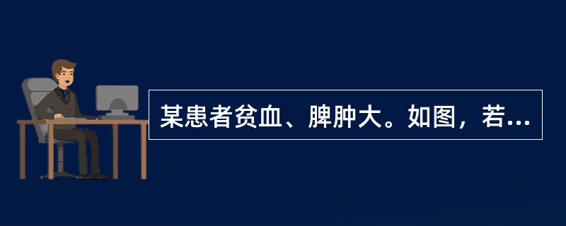 某患者贫血、脾肿大。如图，若外周血圈中所示红细胞占19%，最可能为（）