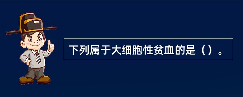 下列属于大细胞性贫血的是（）。