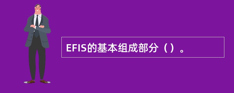EFIS的基本组成部分（）。