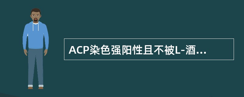 ACP染色强阳性且不被L-酒石酸抑制（）PAS染色时红系呈阳性（）POX染色多呈