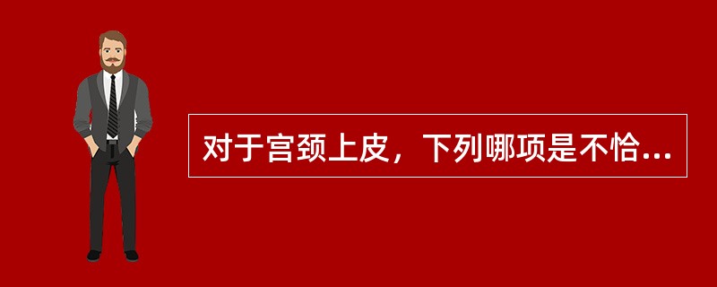 对于宫颈上皮，下列哪项是不恰当的？（）