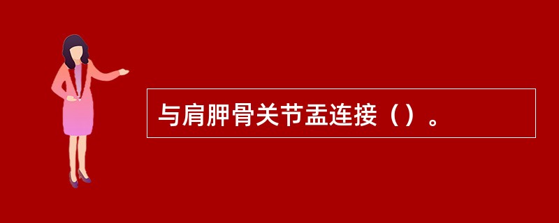 与肩胛骨关节盂连接（）。