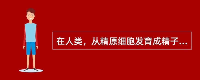 在人类，从精原细胞发育成精子，大致需要多少天？（）