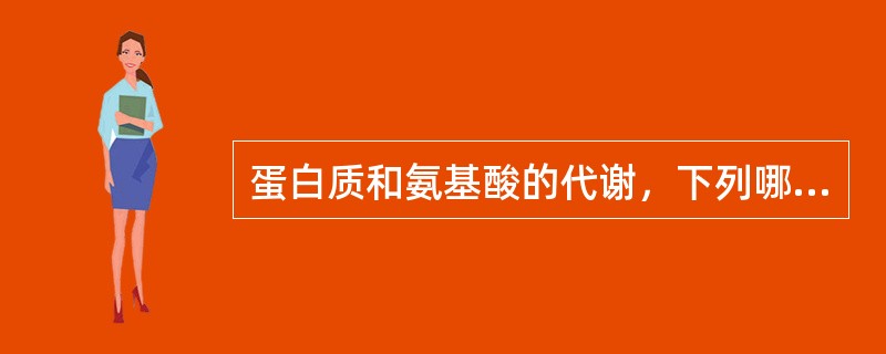 蛋白质和氨基酸的代谢，下列哪些是正确的（）。