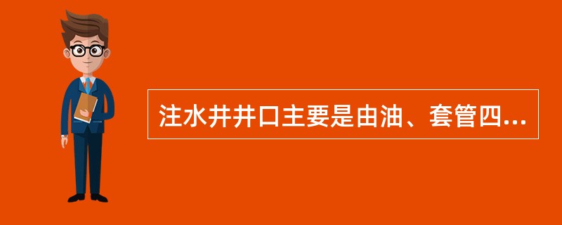 注水井井口主要是由油、套管四通，左右油、套管阀，总阀，（），油套压表，油管挂顶丝