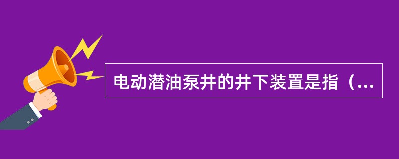 电动潜油泵井的井下装置是指（）。