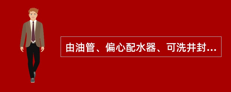 由油管、偏心配水器、可洗井封隔器、撞击筒及循环阀、筛管及丝堵等组成的井下管柱为（