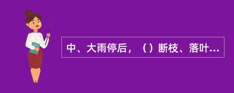 中、大雨停后，（）断枝、落叶、垃圾、积水清理（清扫）不及时，每处扣罚20元。