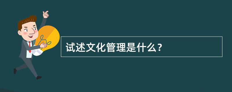 试述文化管理是什么？