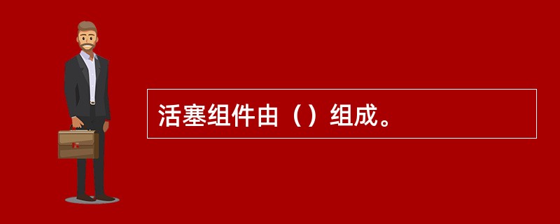 活塞组件由（）组成。