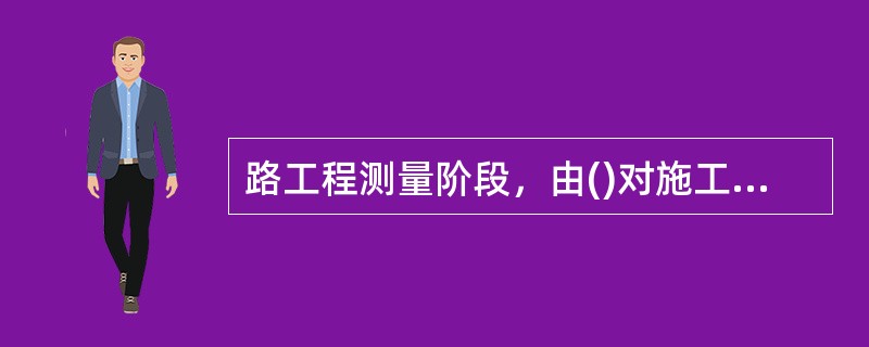 路工程测量阶段，由()对施工测量质量实行过程检查和最终检査。