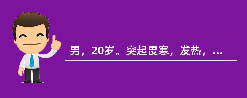 男，20岁。突起畏寒，发热，伴头痛、呕吐4天于4月20日来诊。体查T39.8℃，