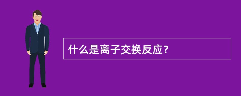 什么是离子交换反应？