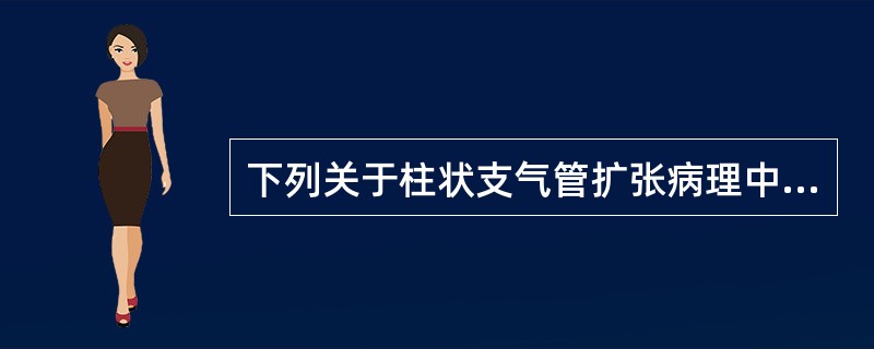 下列关于柱状支气管扩张病理中错误的是（）