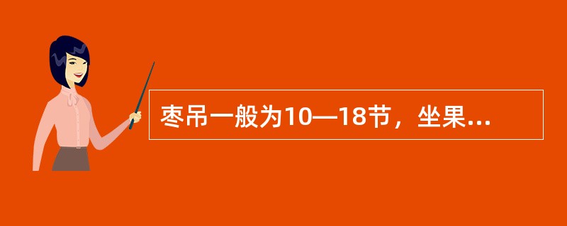 枣吊一般为10—18节，坐果较多的是（）节。