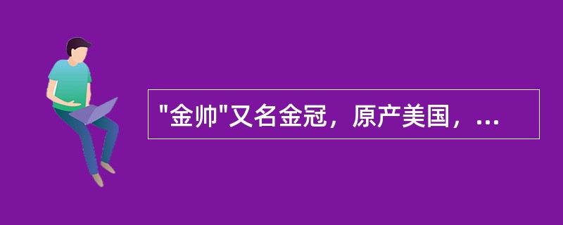 "金帅"又名金冠，原产美国，是我省主要的葡萄栽培品种。