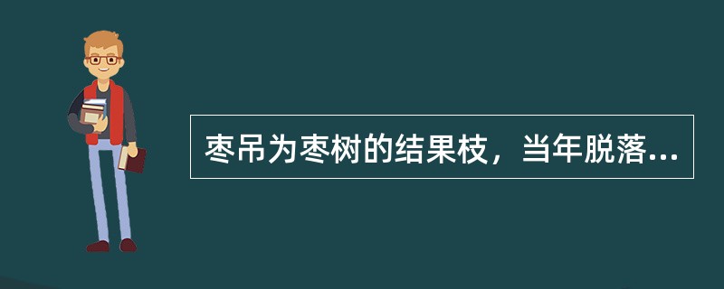 枣吊为枣树的结果枝，当年脱落，故名脱落性枝（）