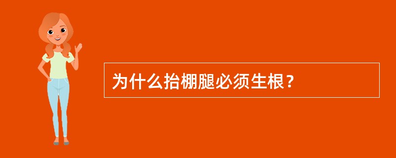为什么抬棚腿必须生根？