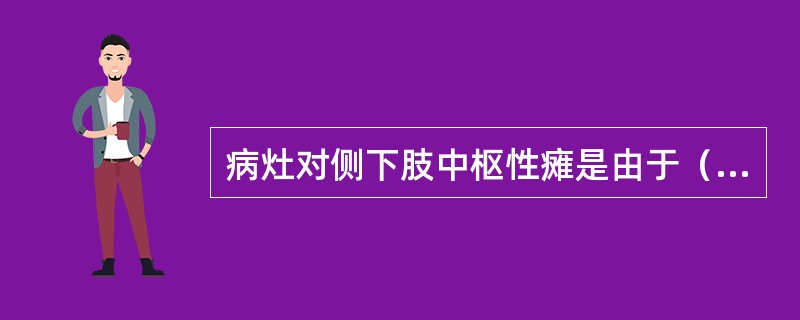 病灶对侧下肢中枢性瘫是由于（）。