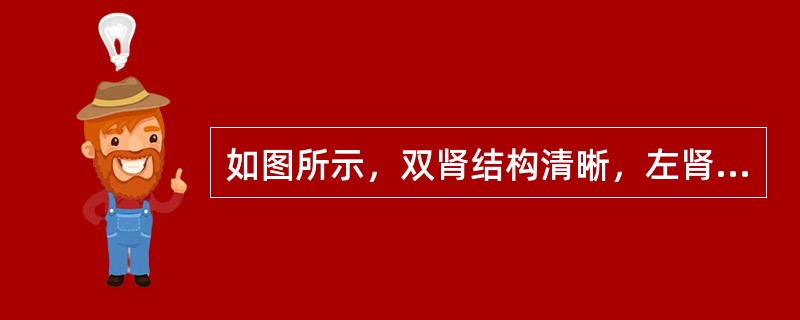 如图所示，双肾结构清晰，左肾体积小，该病例最可能诊断是()